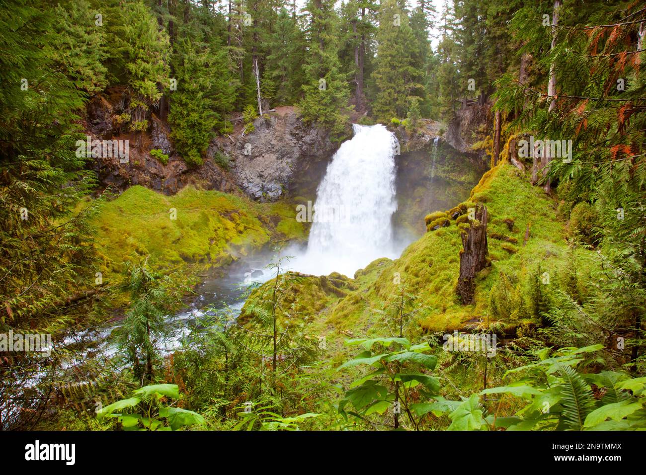 Sahalie Falls et Mckenzie River dans la forêt nationale de Willamette, Oregon, United States of America Banque D'Images