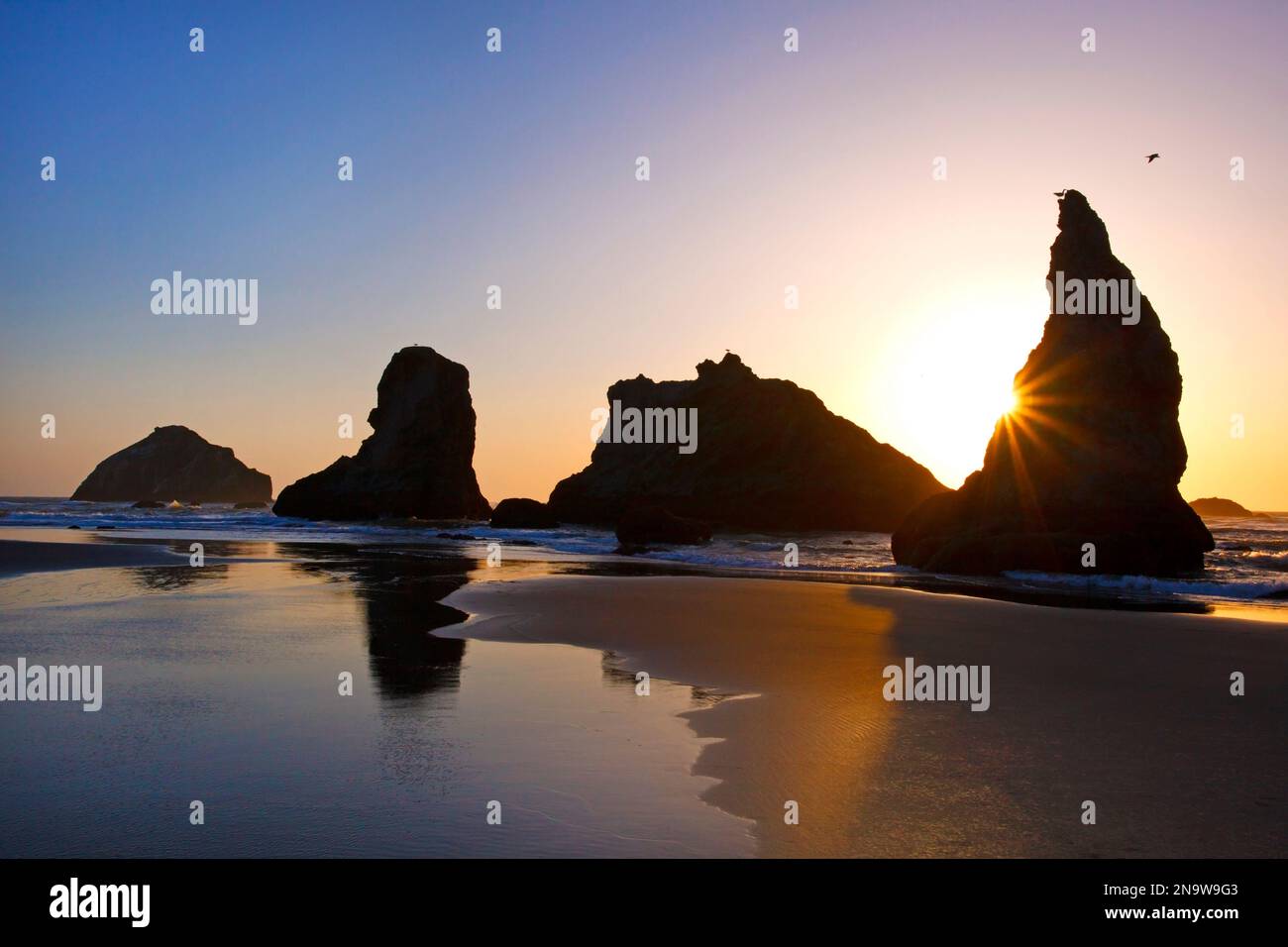 Formations rocheuses découpées sur la plage de Bandon Beach au coucher du soleil à marée basse, côte de l'Oregon ; Oregon, États-Unis d'Amérique Banque D'Images