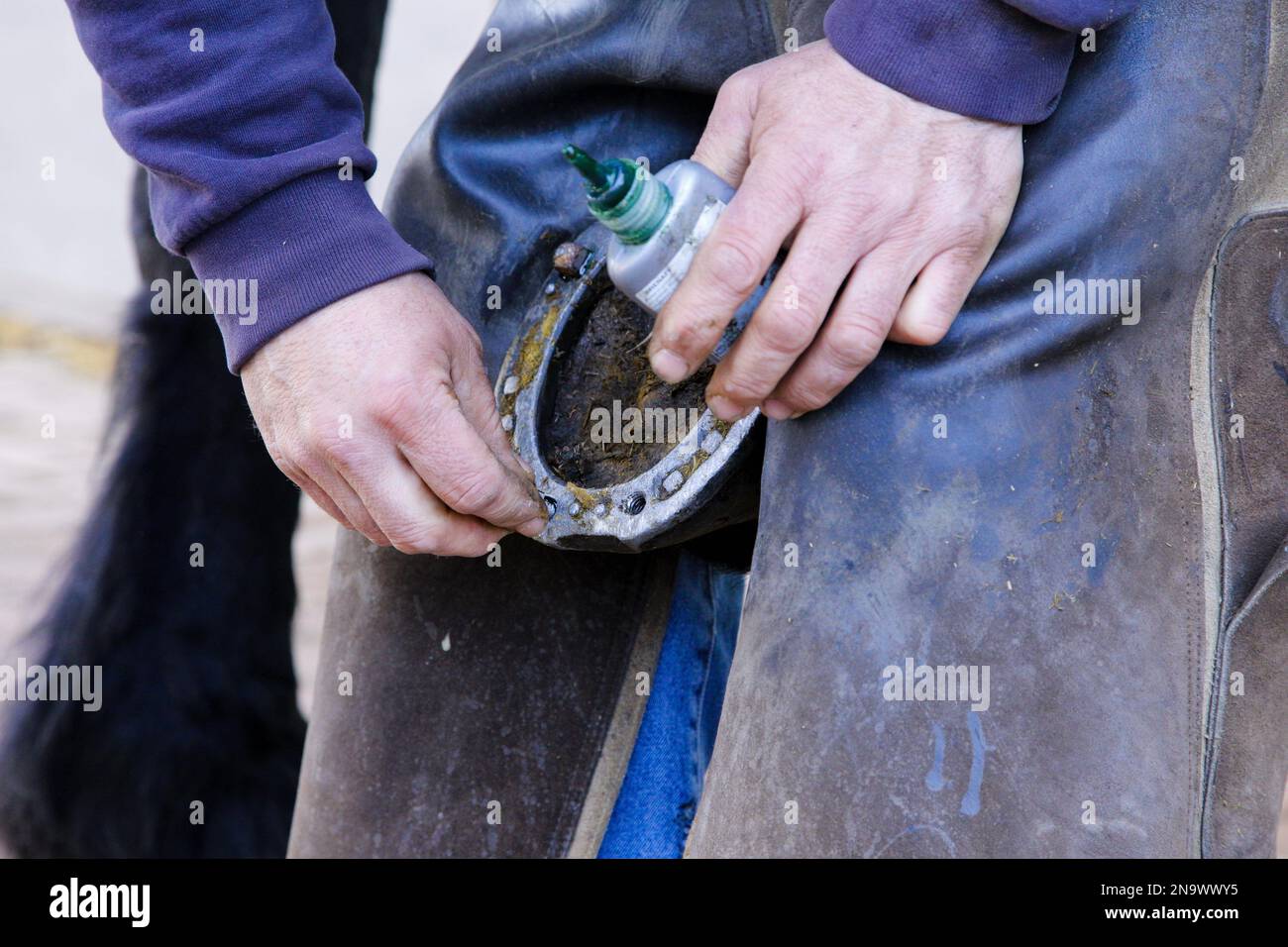 Travailler dans un ranch Banque de photographies et d’images à haute résolution Alamy