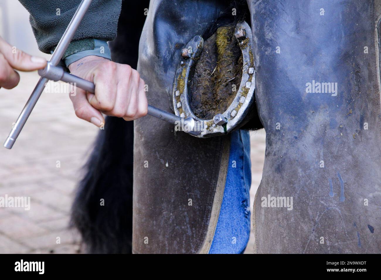 Travailler dans un ranch Banque de photographies et d’images à haute résolution Alamy