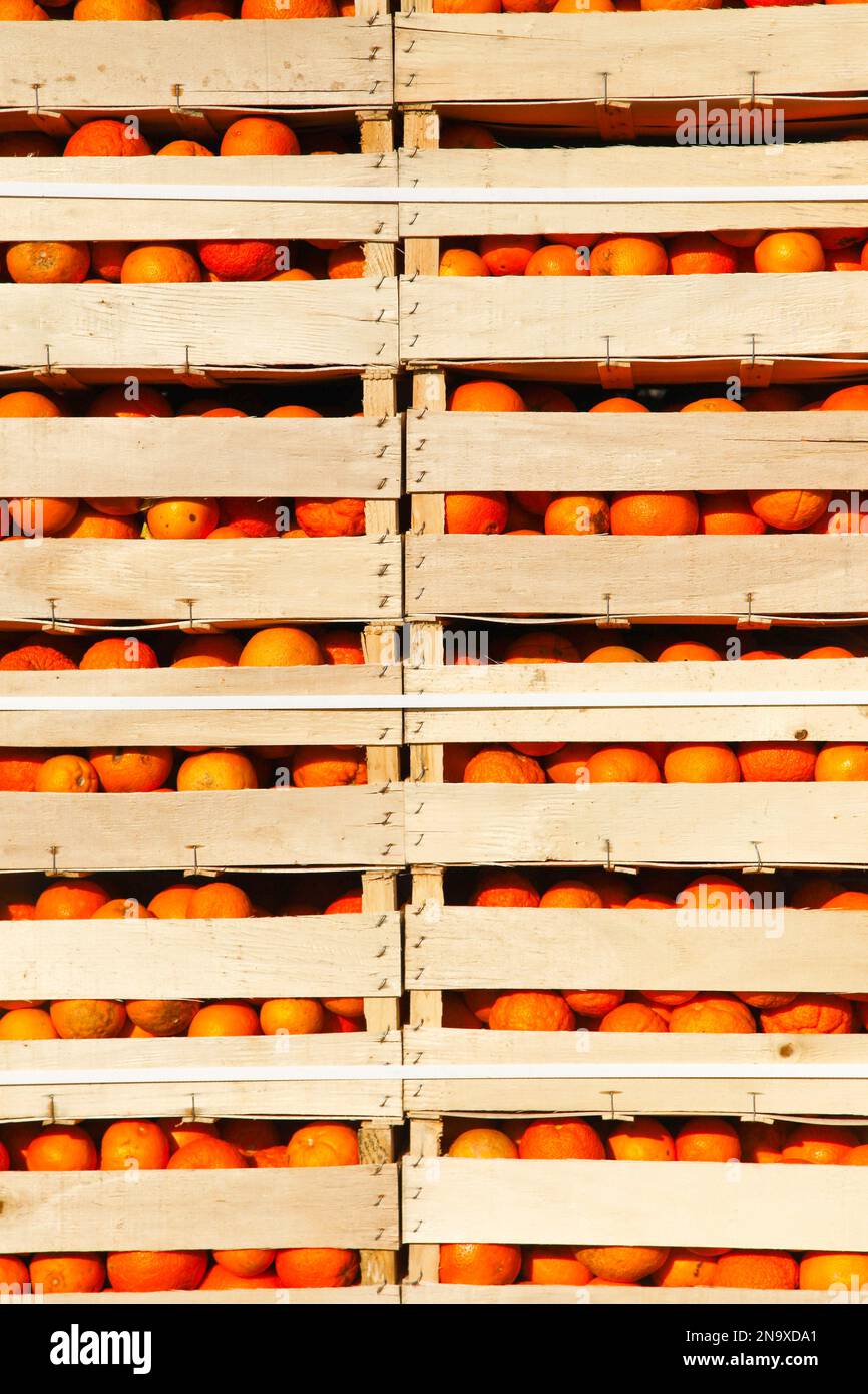 Boîtes d'oranges, utilisées pour la bataille des oranges d'Ivrea Banque D'Images