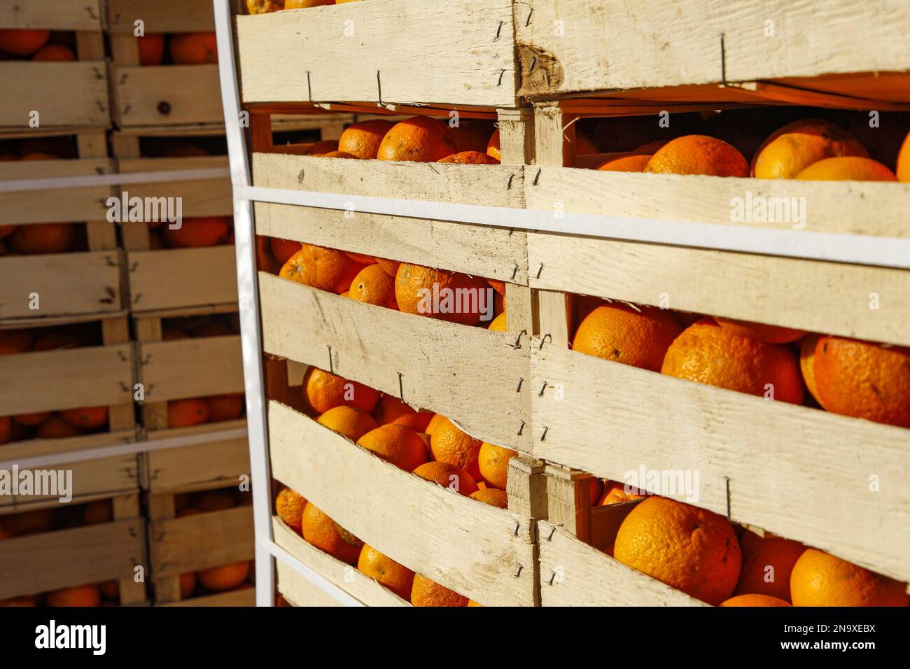 Boîtes d'oranges, utilisées pour la bataille des oranges d'Ivrea Banque D'Images