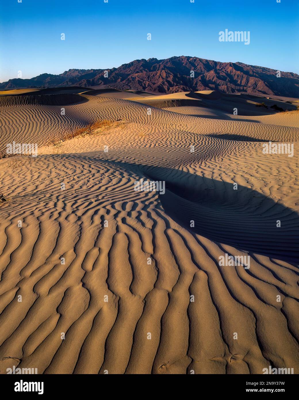 Dunes de sable dans la Death Valley National Park, California Banque D'Images