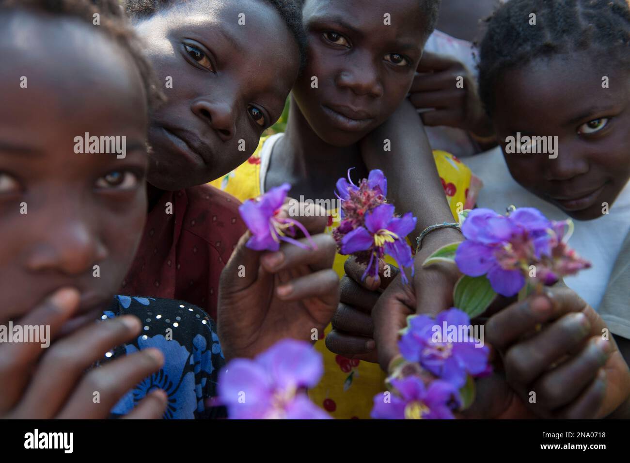 Des dizaines d’enfants qui vivent sur le mont Gorongosa apportent des sacs à sandwich remplis de spécimens de fleurs à identifier, parc national de Gorongosa, Mozambique Banque D'Images