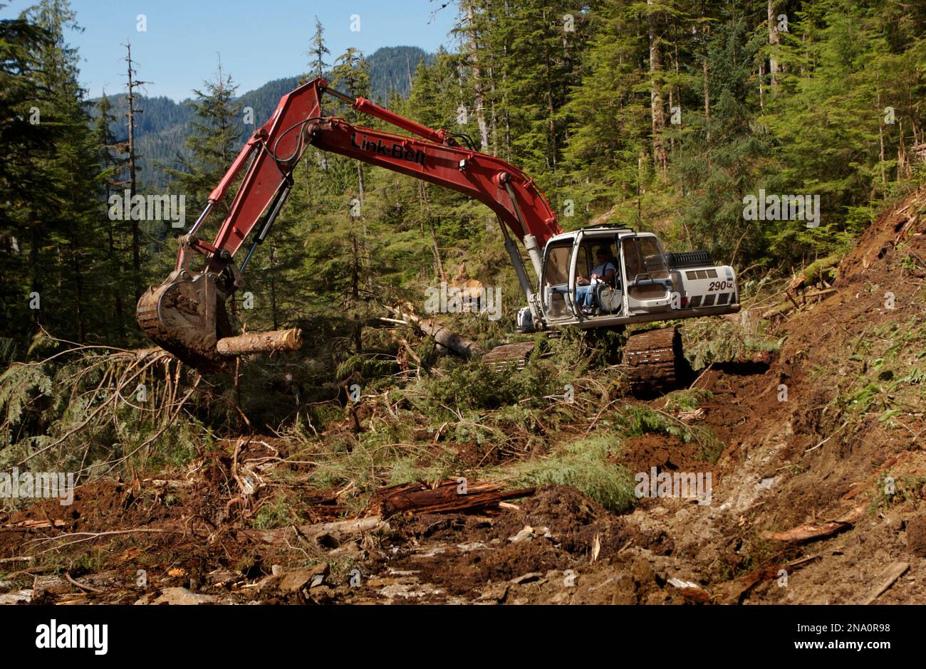 Exploitation forestière et construction de routes dans la forêt nationale des Tongass ; Alaska (États-Unis d'Amérique) Banque D'Images