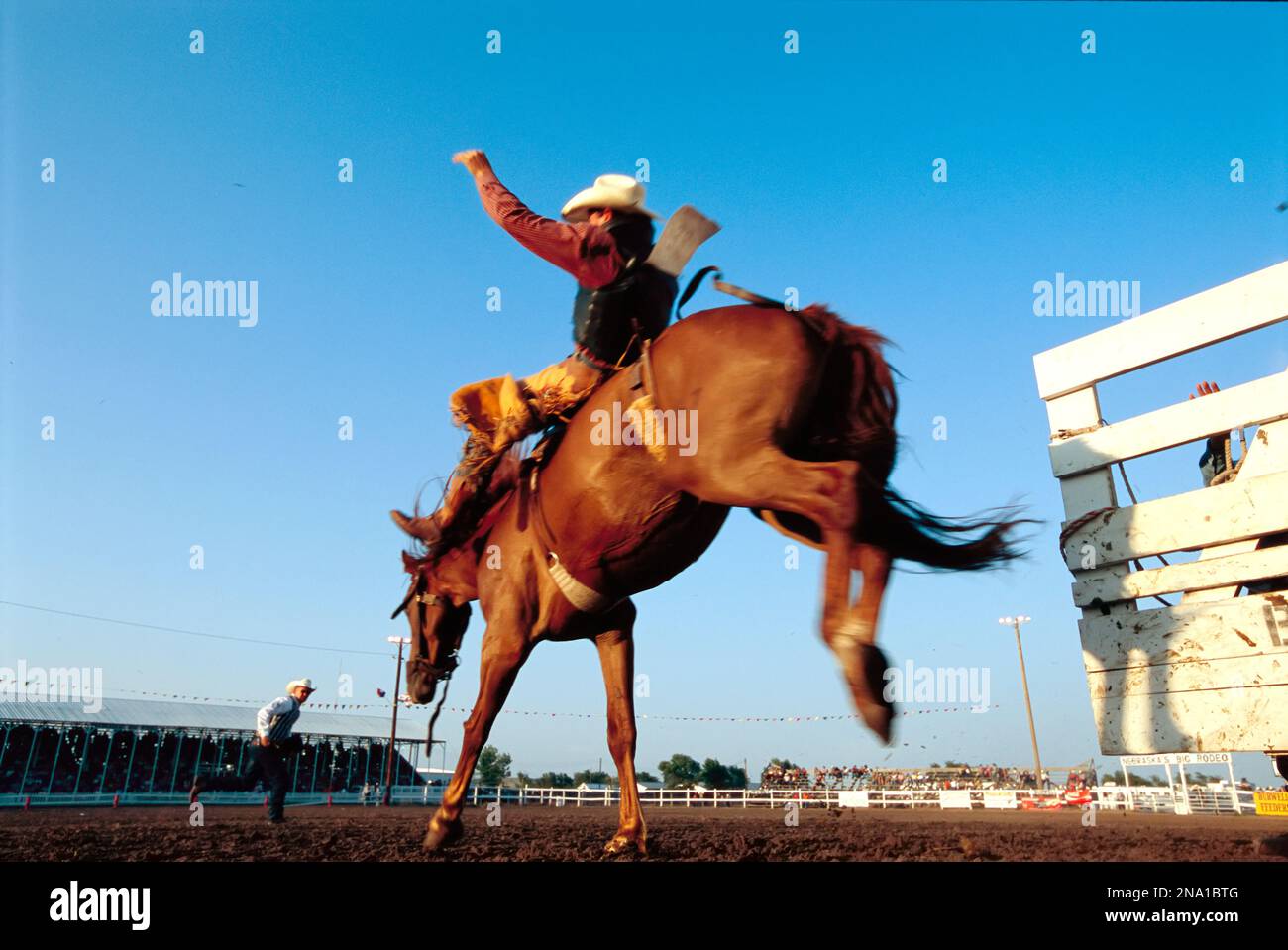 Cow-boy chevauchant un bronco ; Burwell, Nebraska, États-Unis d'Amérique Banque D'Images