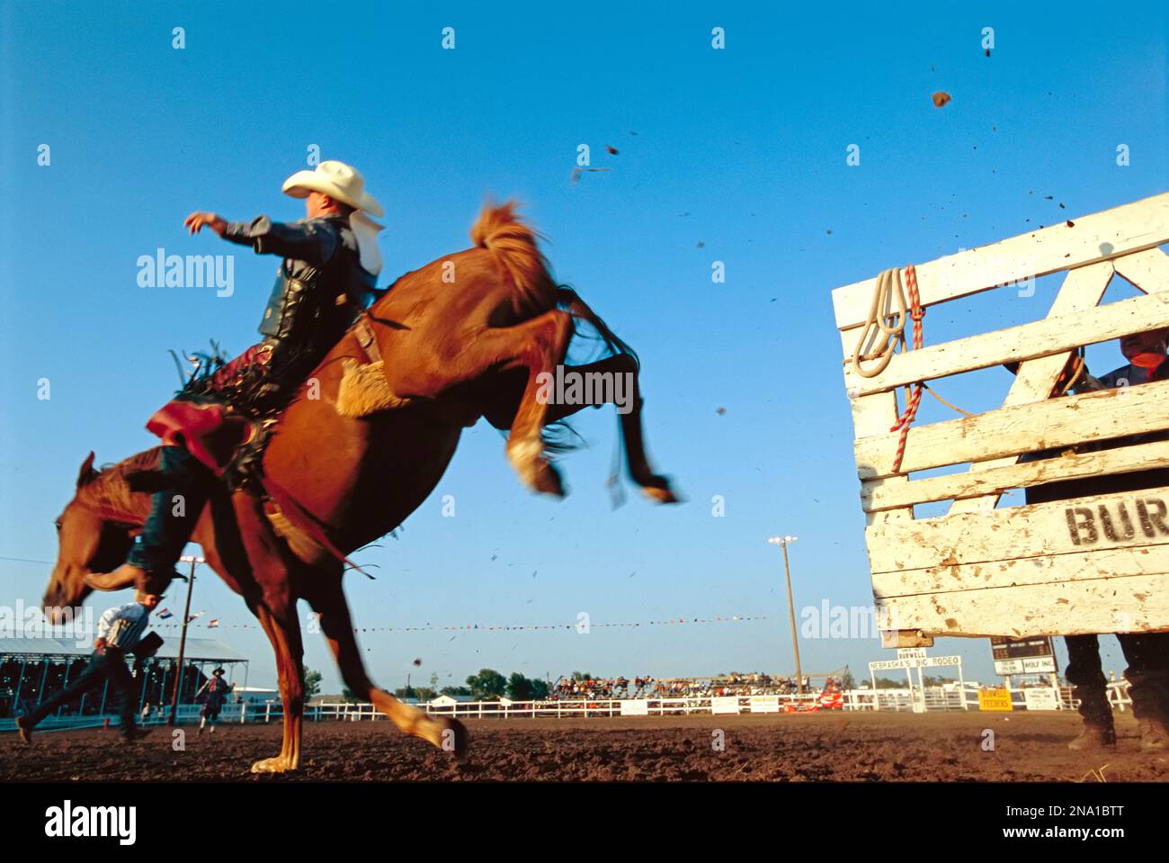 Cow-boy chevauchant un bronco ; Burwell, Nebraska, États-Unis d'Amérique Banque D'Images