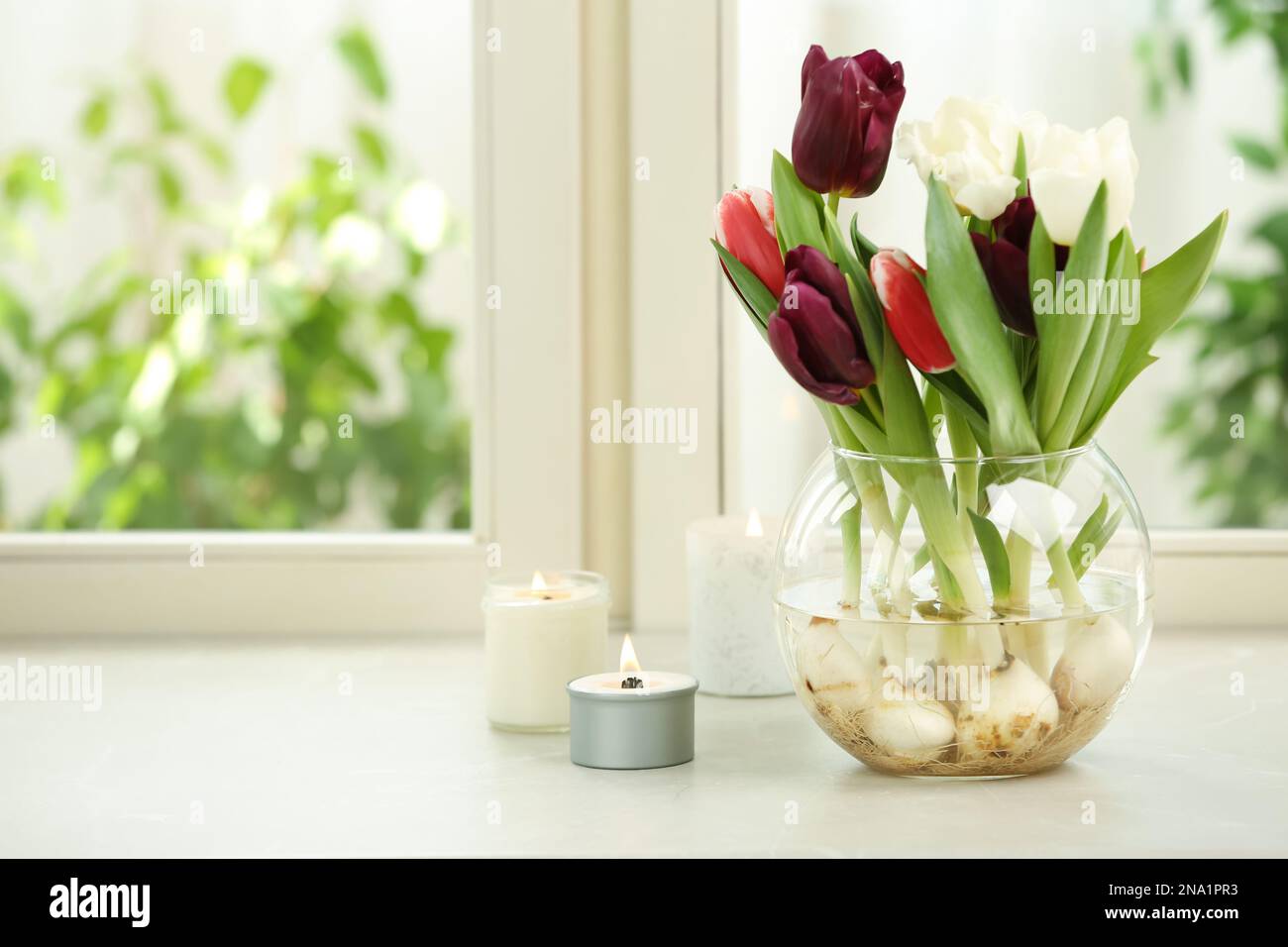 Relaxdays Terrarium De Plantes - Acheter Sur