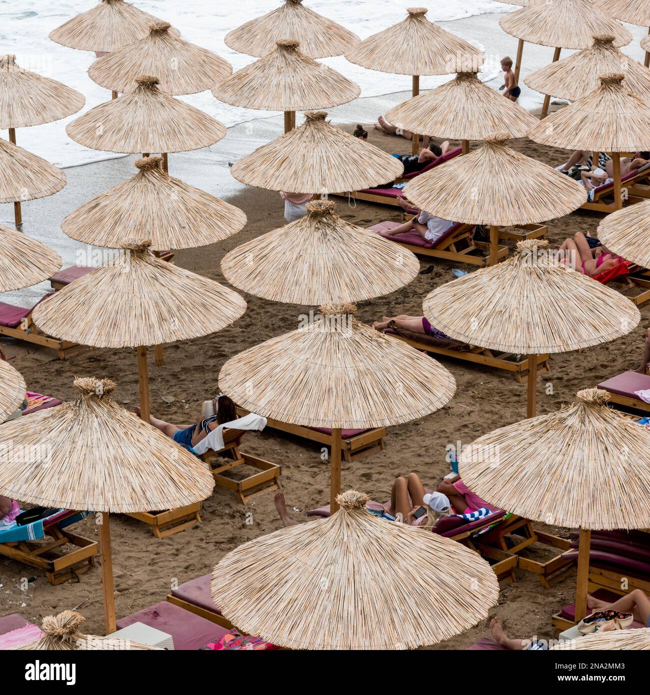 Touristes sur la plage dans des chaises longues placées dans des rangées sous des parasols de chaume; Budva, municipalité de Budva, Monténégro Banque D'Images