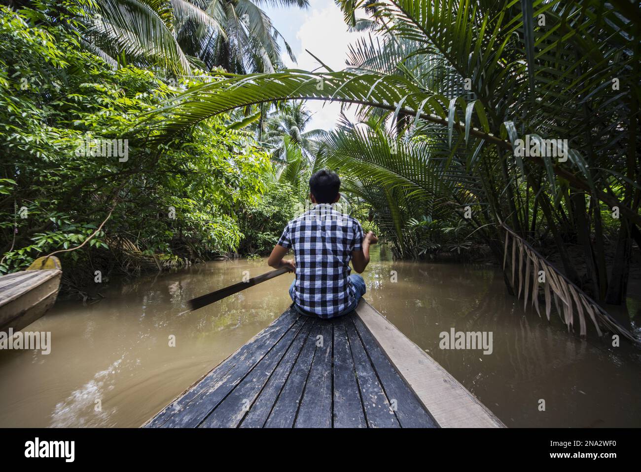 Homme ramant un bateau dans un canal du delta du Mékong ; long an, Vietnam Banque D'Images