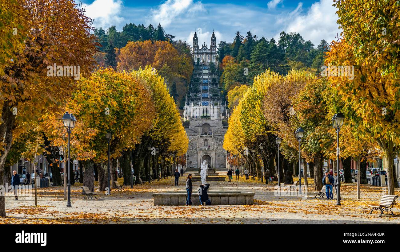 Feuillage d'automne vivant dans le district de Viseu, au nord du Portugal; municipalité de Lamego, district de Viseu, au Portugal Banque D'Images