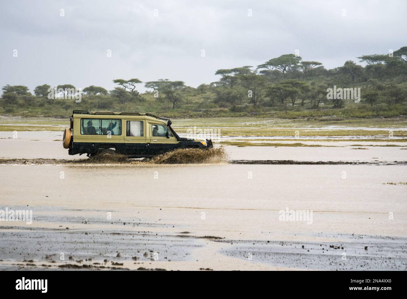 Un véhicule de safari éclabousse dans un ravin inondé dans la région de Ndutu, dans la zone de conservation du cratère de Ngorongoro, sur les plaines de Serengeti en Tanzanie. Banque D'Images