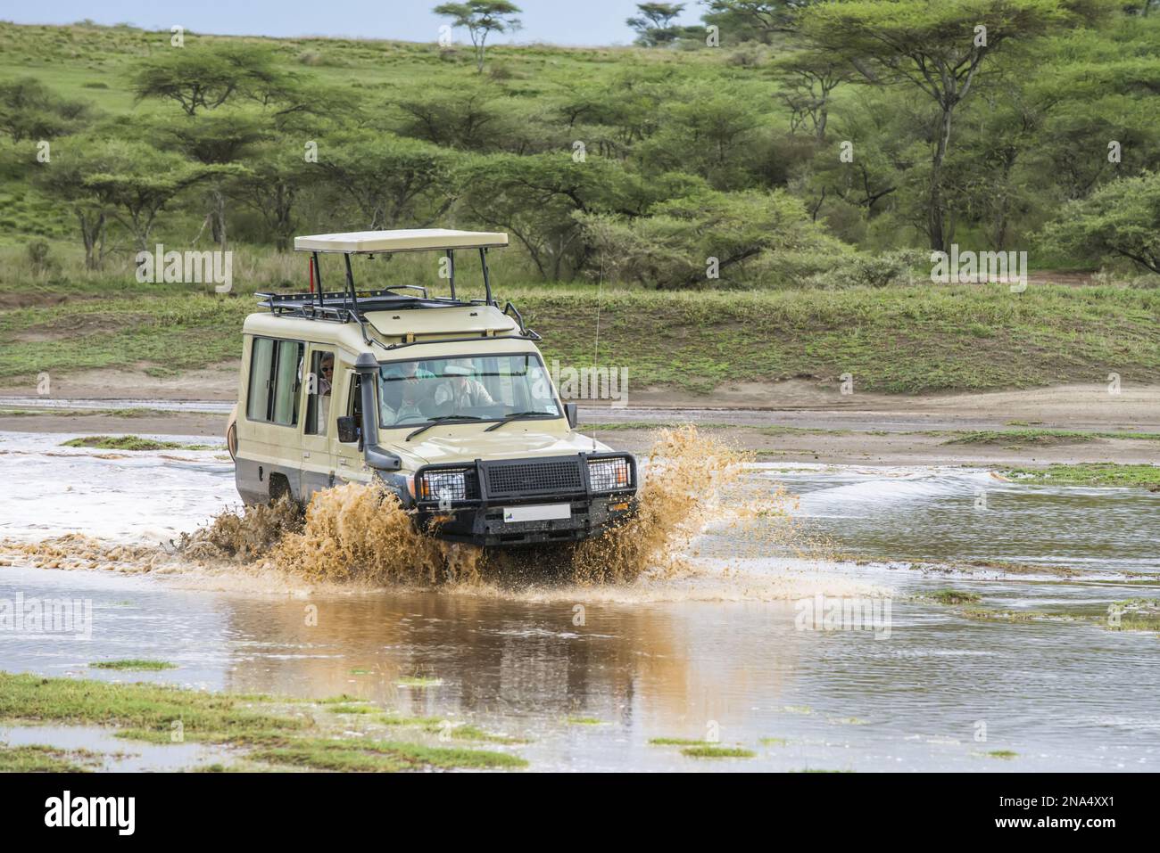 Un véhicule de safari éclabousse dans un ravin inondé dans la région de Ndutu, dans la zone de conservation du cratère de Ngorongoro, sur les plaines de Serengeti en Tanzanie. Banque D'Images