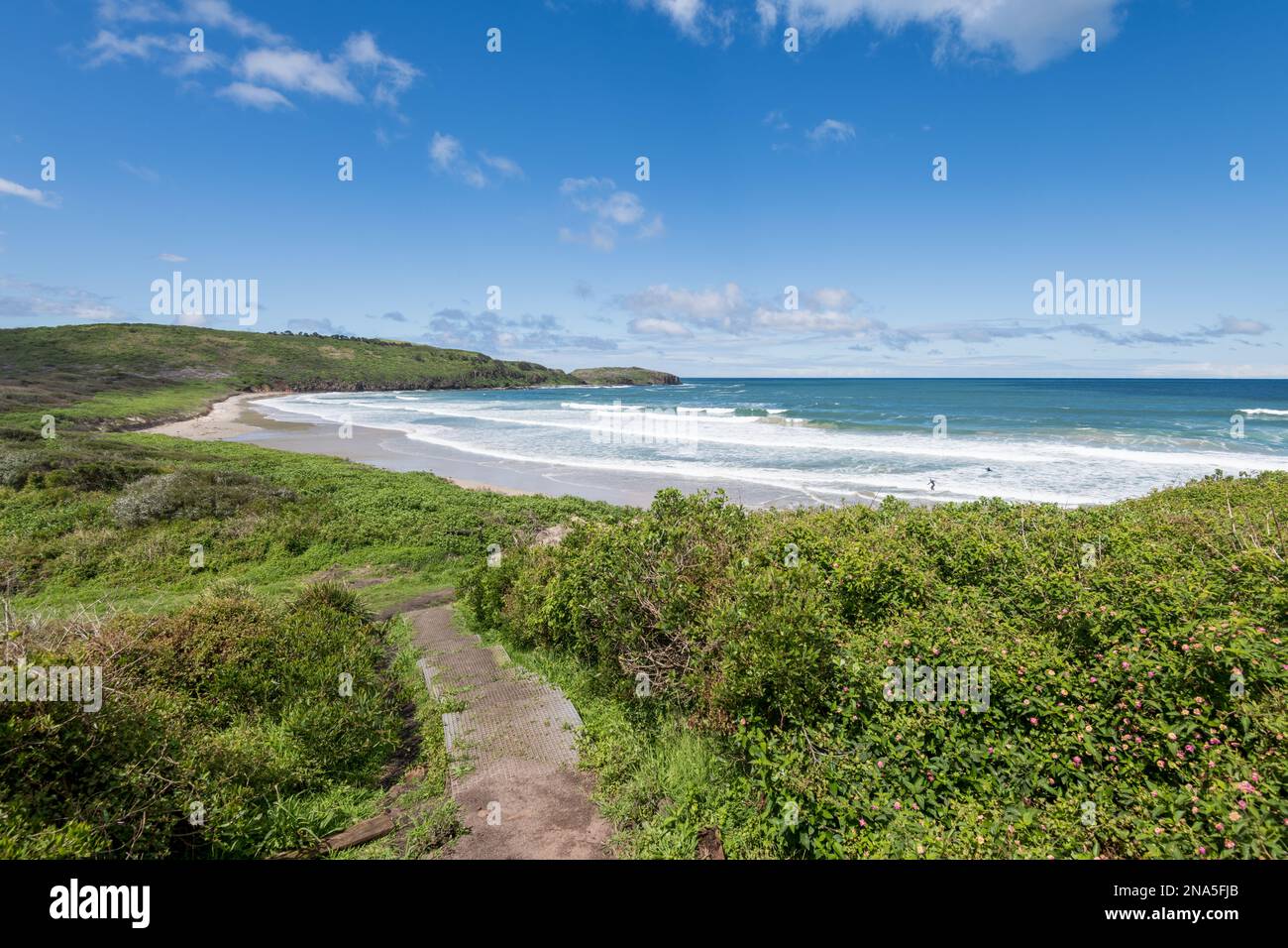 Plage et littoral de Killalea, Nouvelle-Galles du Sud Banque D'Images