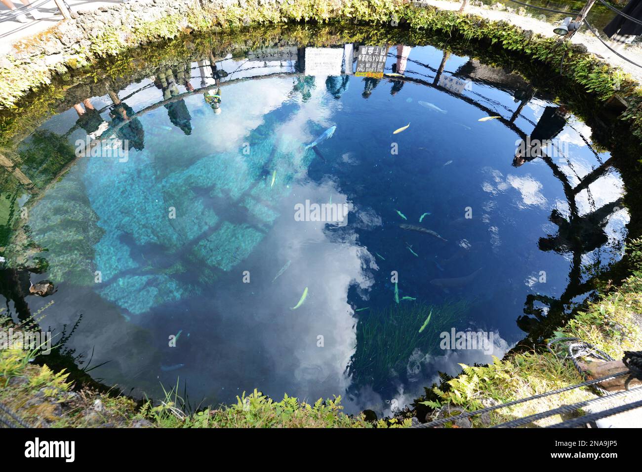 Bassin de Chuike au village d'Oshino Hakkai dans la préfecture de Yamanashi au Japon. Banque D'Images