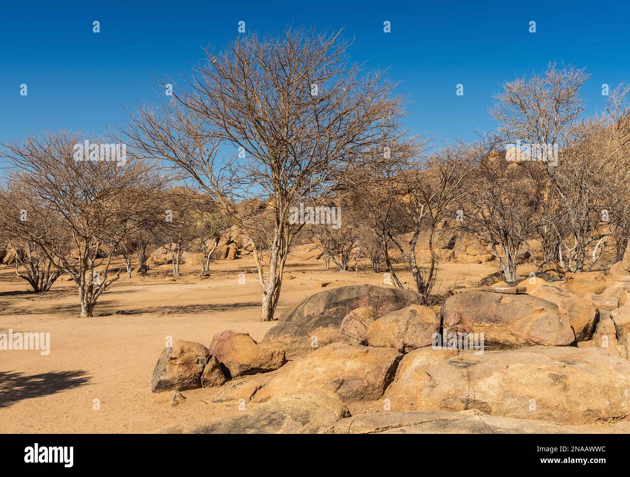 Le paysage des montagnes Erongo en Namibie Banque D'Images