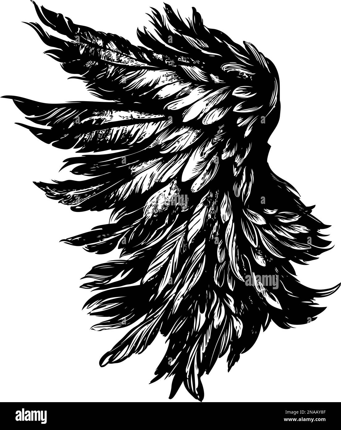 Angel Wings, Bird Wings collection dessin animé dessin main dessin vectoriel illustration esquisse. Illustration de Vecteur