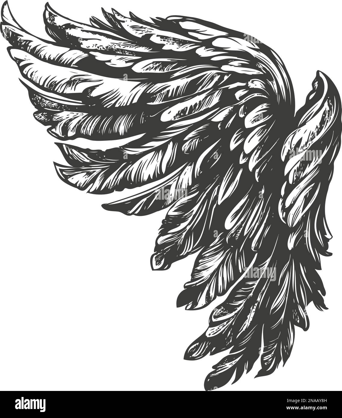 Angel Wings, Bird Wings collection dessin animé dessin main dessin vectoriel illustration esquisse. Illustration de Vecteur