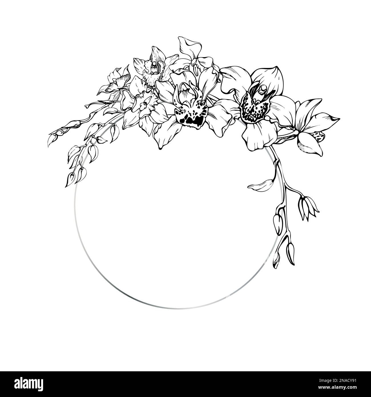 Fleurs et branches d'orchidées à encre vectorielle dessinées à la main, monochrome, contour détaillé. Composition de couronne circulaire. Isolé sur fond blanc. Conception pour Illustration de Vecteur