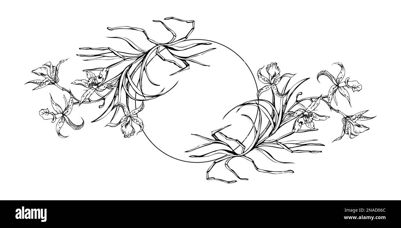Fleurs et branches d'orchidées à encre vectorielle dessinées à la main, monochrome, contour détaillé. Composition de couronne circulaire. Isolé sur fond blanc. Conception pour Illustration de Vecteur