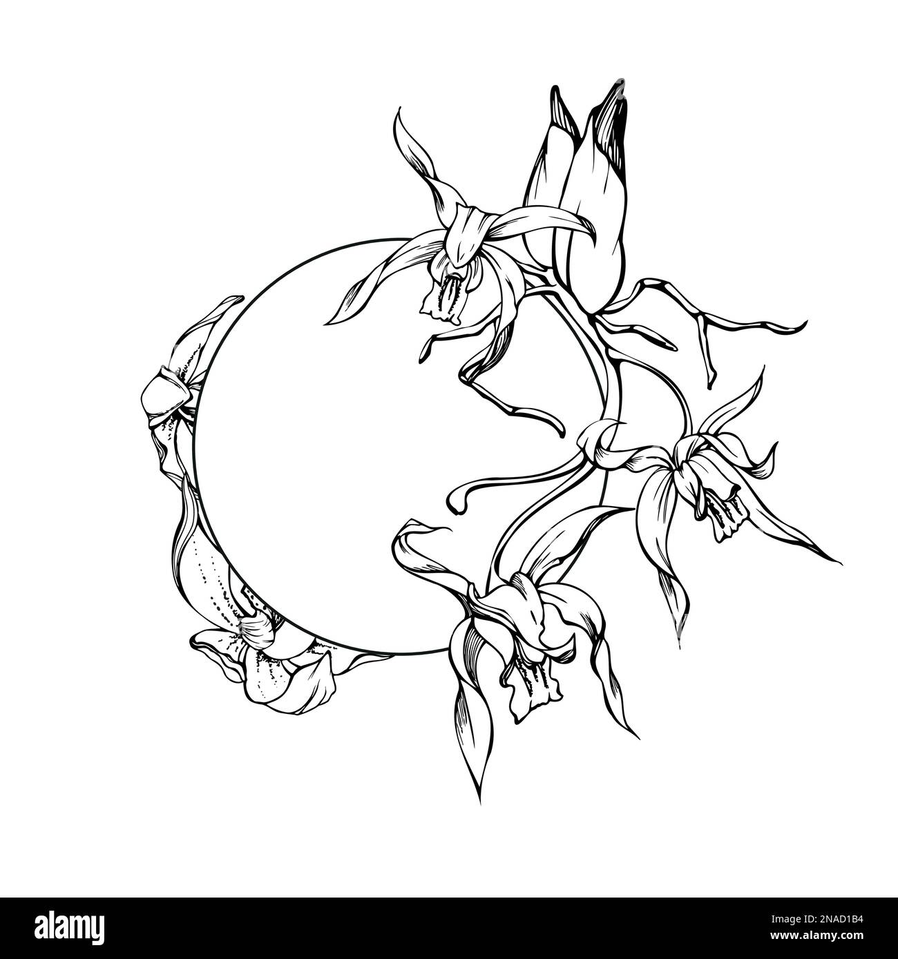 Fleurs et branches d'orchidées à encre vectorielle dessinées à la main, monochrome, contour détaillé. Composition de couronne circulaire. Isolé sur fond blanc. Conception pour Illustration de Vecteur