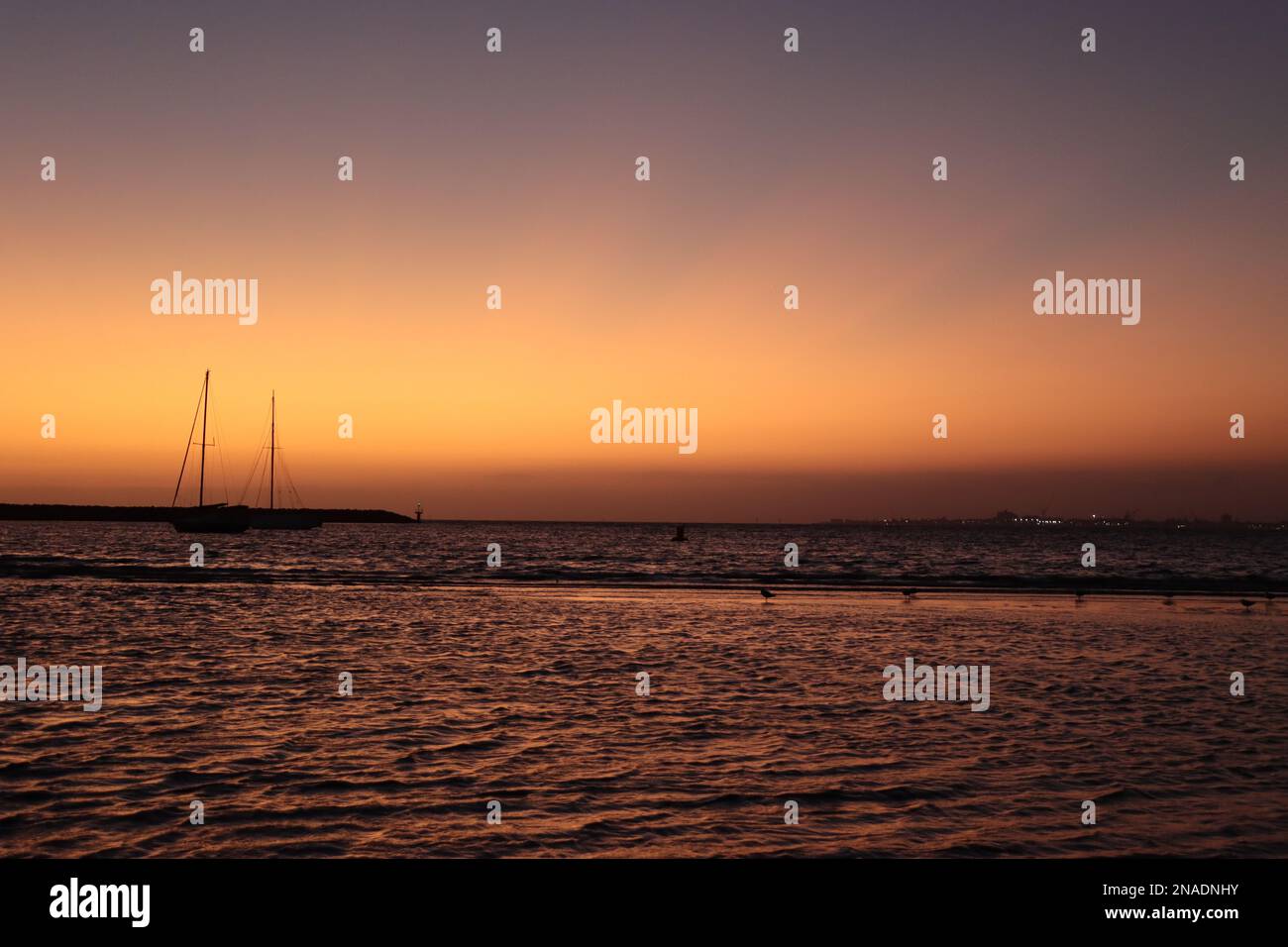 Voiliers au coucher du soleil Banque D'Images