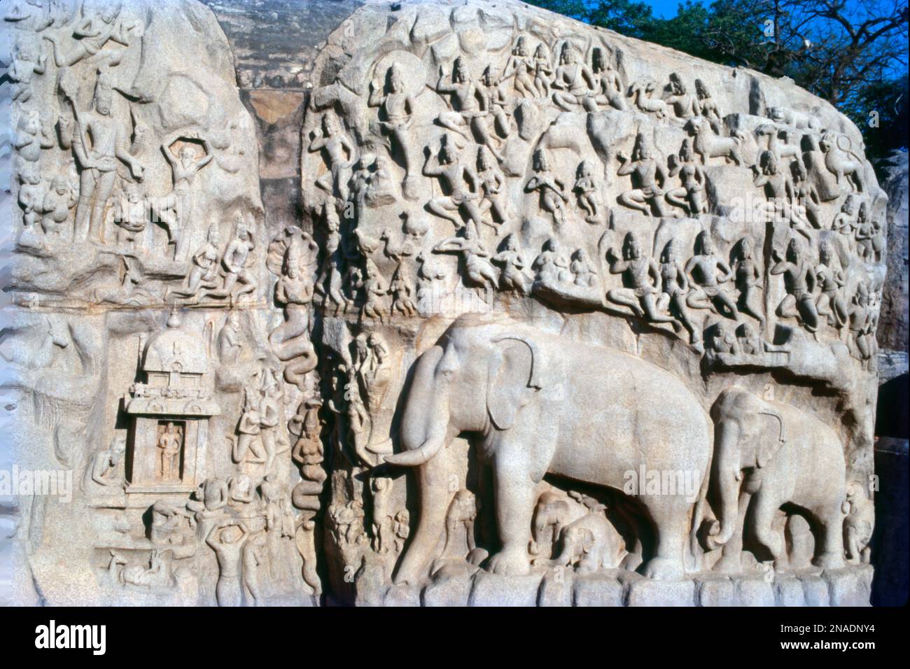 Le Temple Shore est un complexe de temples et de sanctuaires qui surplombe la rive de la baie du Bengale. Il est situé à Mahabalipuram, à environ 60 kilomètres au sud de Chennai, dans le Tamil Nadu, en Inde. C'est un temple structurel, construit avec des blocs de granit, datant du 8th siècle après J.-C. Le site compte 40 monuments anciens et temples hindous, dont Descent du Gange ou la Penance d'Arjuna, l'un des plus grands rochers en plein air du monde. Le complexe se compose de trois sanctuaires distincts : deux dédiés au dieu Shiva, et un à Vishnu. Banque D'Images