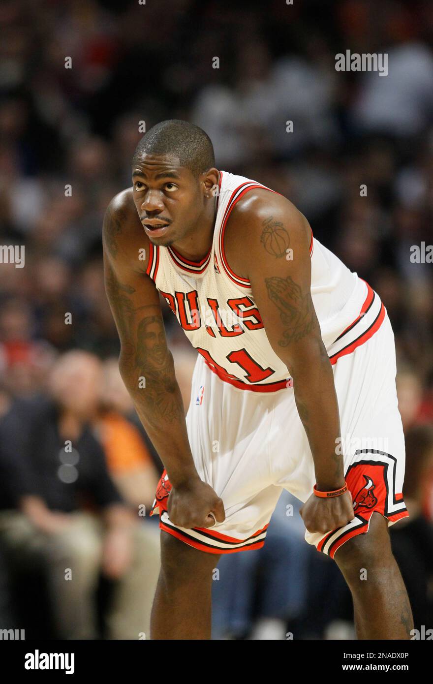 Chicago Bulls shooting guard Ronnie Brewer, looks down court during the first half of an NBA basketball game against the Indiana Pacers, Wednesday, Jan. 25, 2012 in Chicago. The Pacers won 95-90. (AP Photo/Charles Rex Arbogast) Banque D'Images