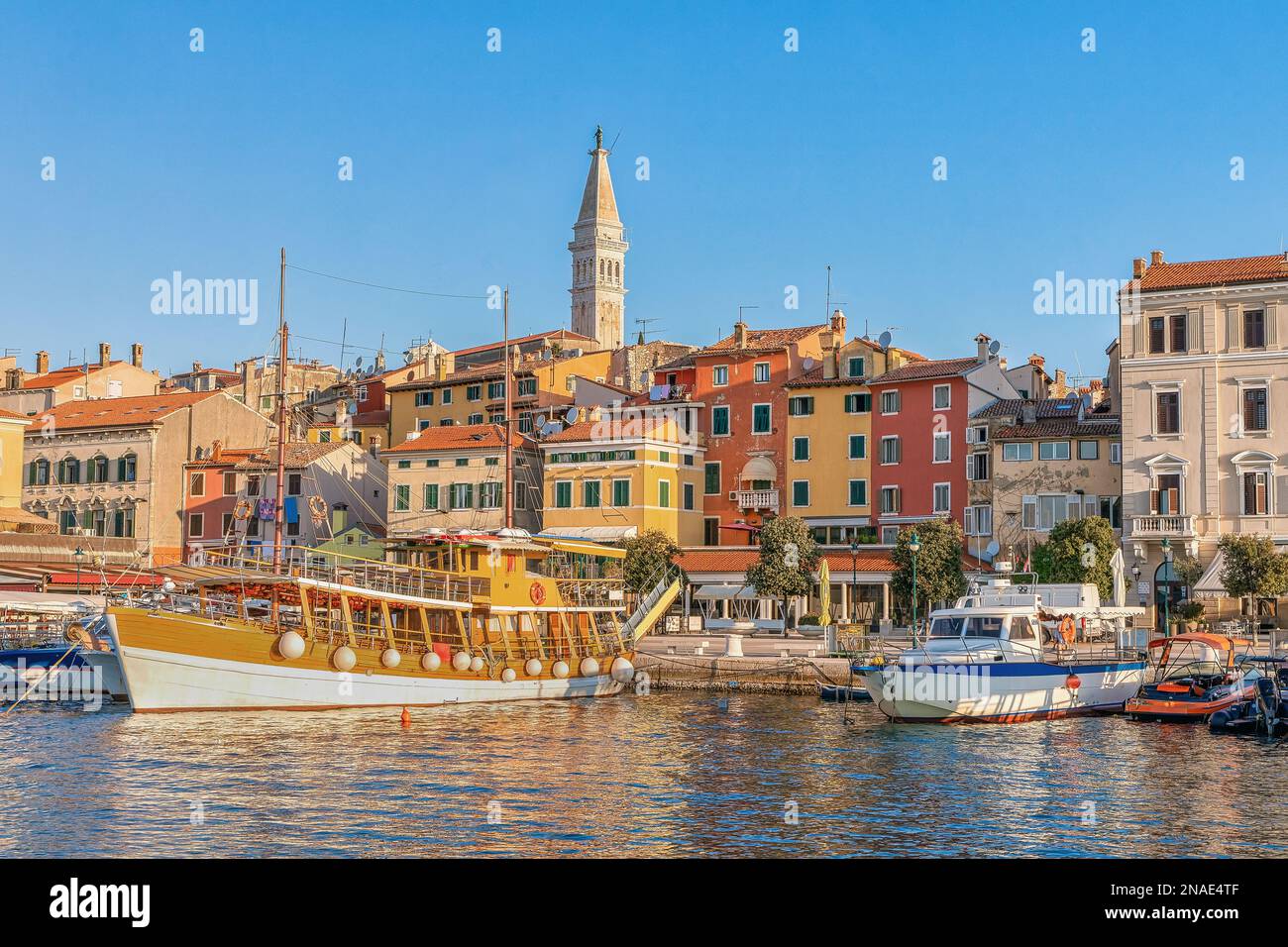Vue du matin sur la marina de Rovinj et la vieille ville de Rovinj, destination de voyage populaire dans le comté d'Istrie en Croatie Banque D'Images