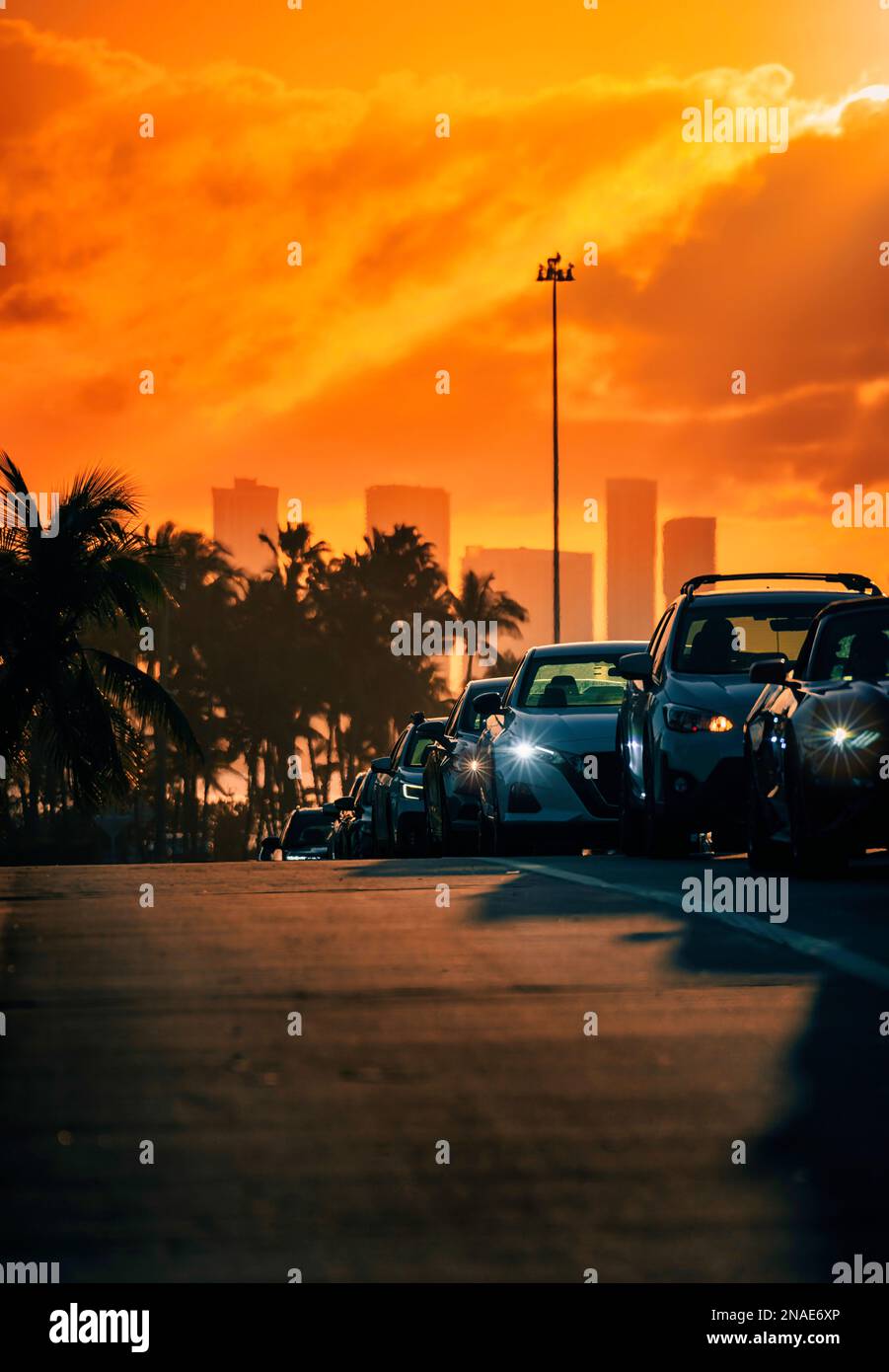 sunset road miami usa florida gratte-ciel feux de circulation de voitures Banque D'Images