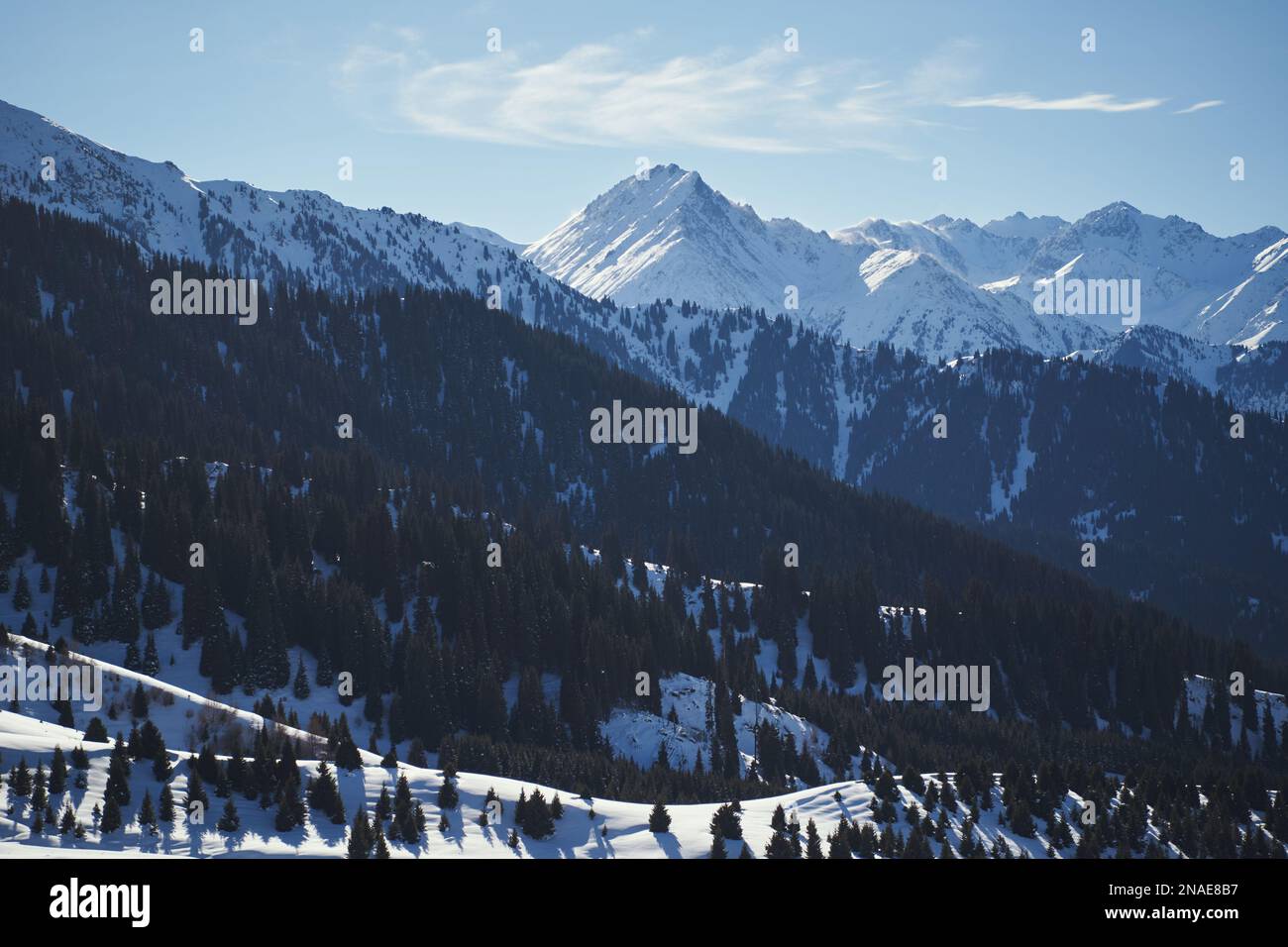 Paysage de montagne avec ciel bleu et forêt à midi en hiver. Banque D'Images