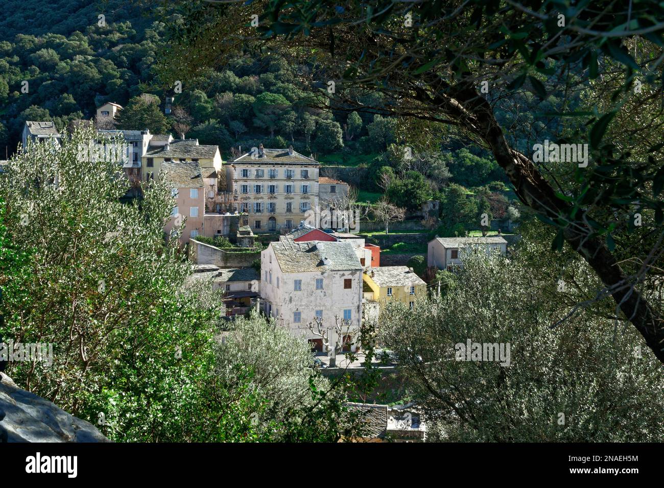 Vue sur le village de Nonza, Cap Corse en Corse, France Banque D'Images