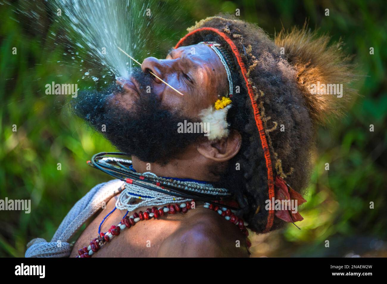 Membre de la tribu des huli qui pulvérise de l’eau dans la région de la vallée de la Tari, dans les Highlands du sud de la Papouasie-Nouvelle-Guinée. Banque D'Images