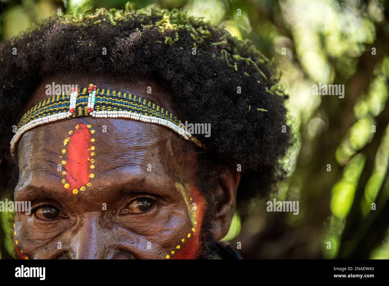 Membre de la tribu des huli dans la région de la vallée de la Tari, dans les Highlands du Sud de la Papouasie-Nouvelle-Guinée. Banque D'Images