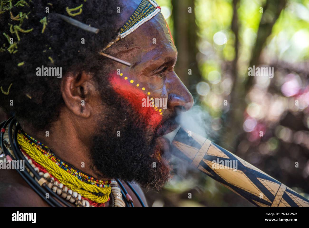 Membre de Huli Tribe qui fume dans la région de la vallée de la Tari, dans les Highlands du Sud de la Papouasie-Nouvelle-Guinée. Banque D'Images