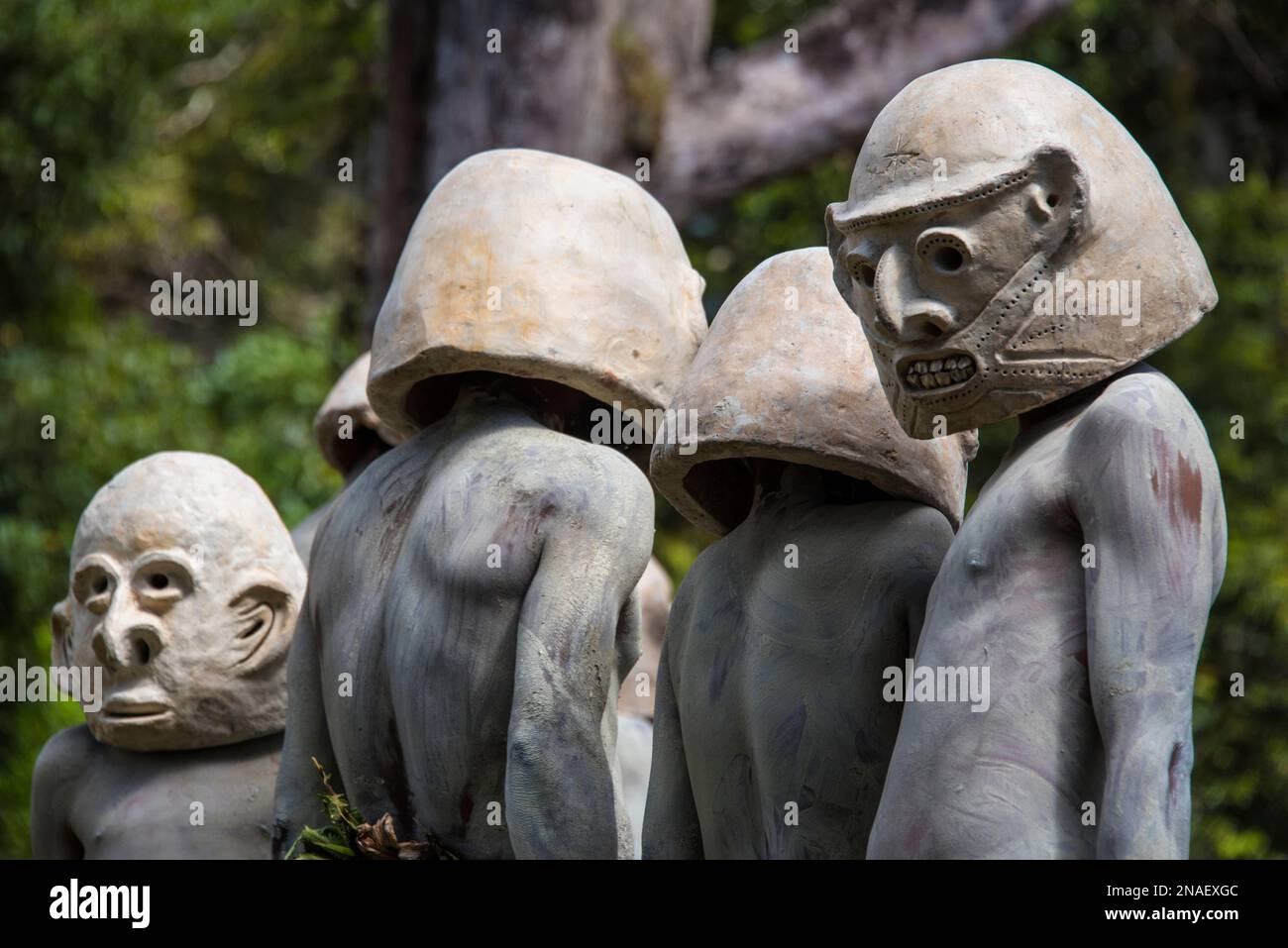 Les Mudmen de Papouasie-Nouvelle-Guinée sont ceux qui portent un costume traditionnel centré autour des masques faits de boue. Ils viennent de la province de Chguga, dans la région de l'Ouest Banque D'Images