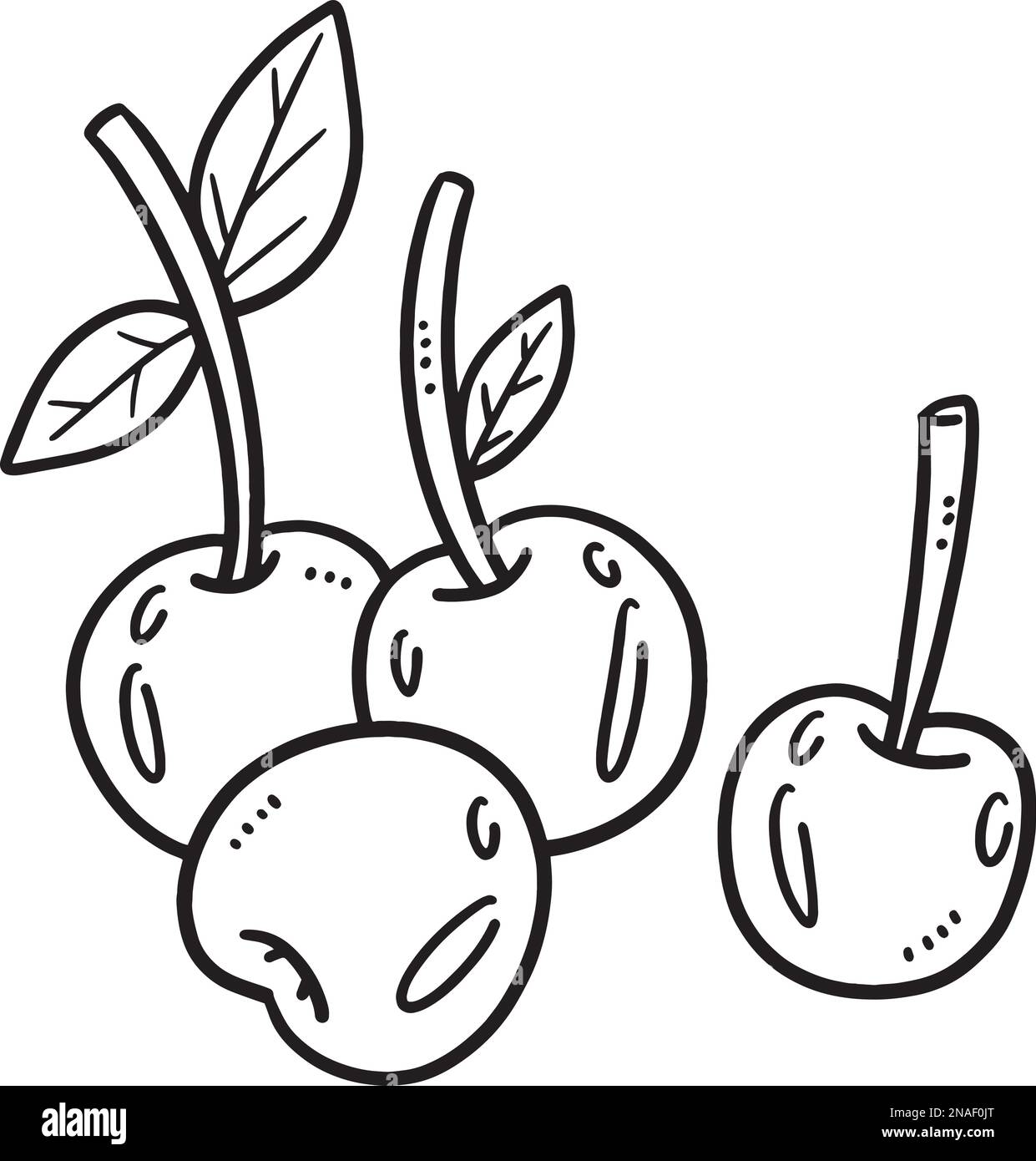 Page de coloriage isolée de fruits de cerise pour les enfants Image Vectorielle Stock - Alamy