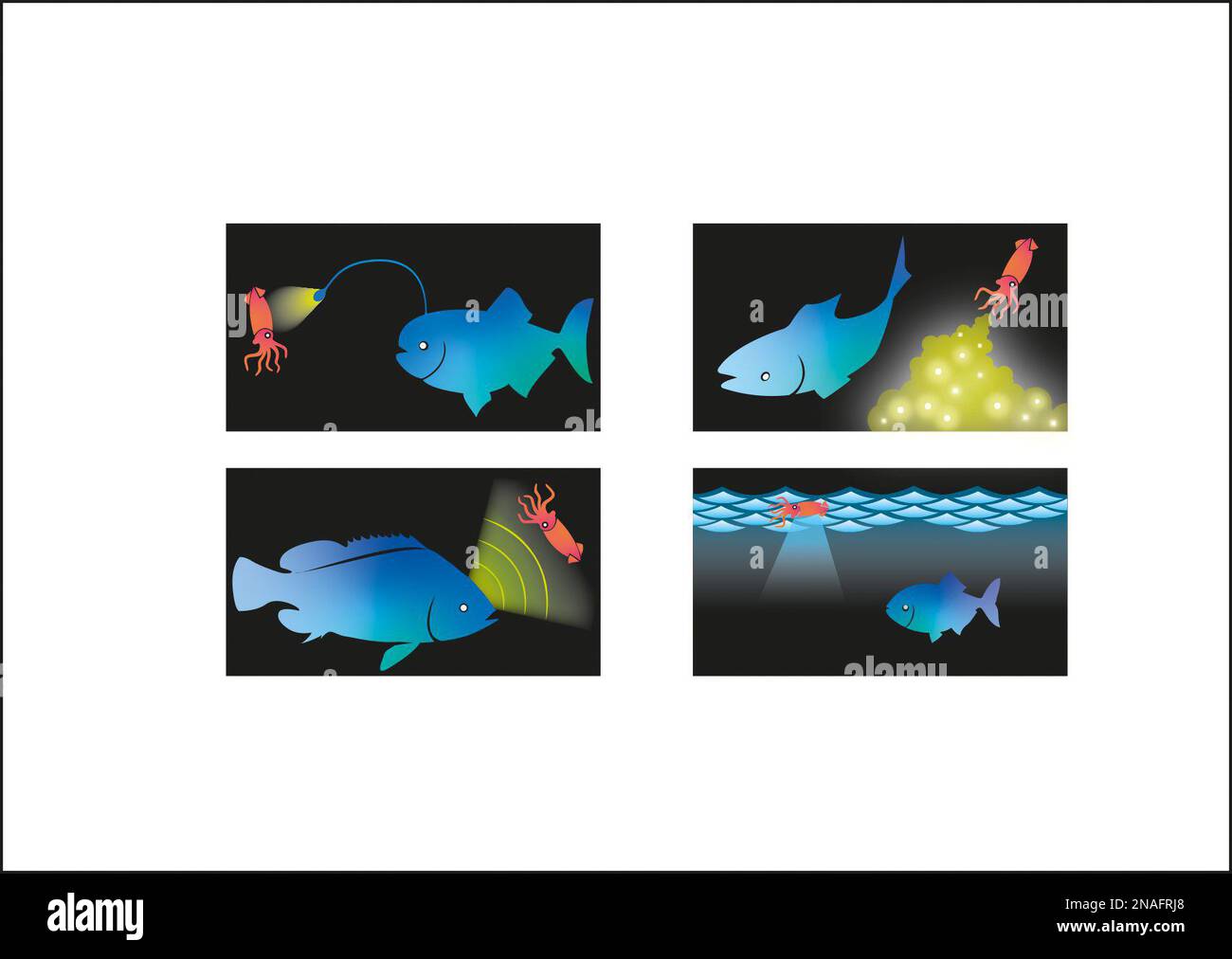 Illustration montrant les utilisations de la bioluminescence chez les animaux marins Banque D'Images