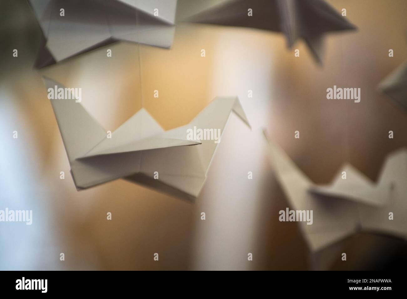 Grues Origami pliées japonaises suspendues avec des cordes. Des centaines d'oiseaux en papier faits main isolés avec un espace de copie. 1000 mille grue tsuru sculpture à Banque D'Images