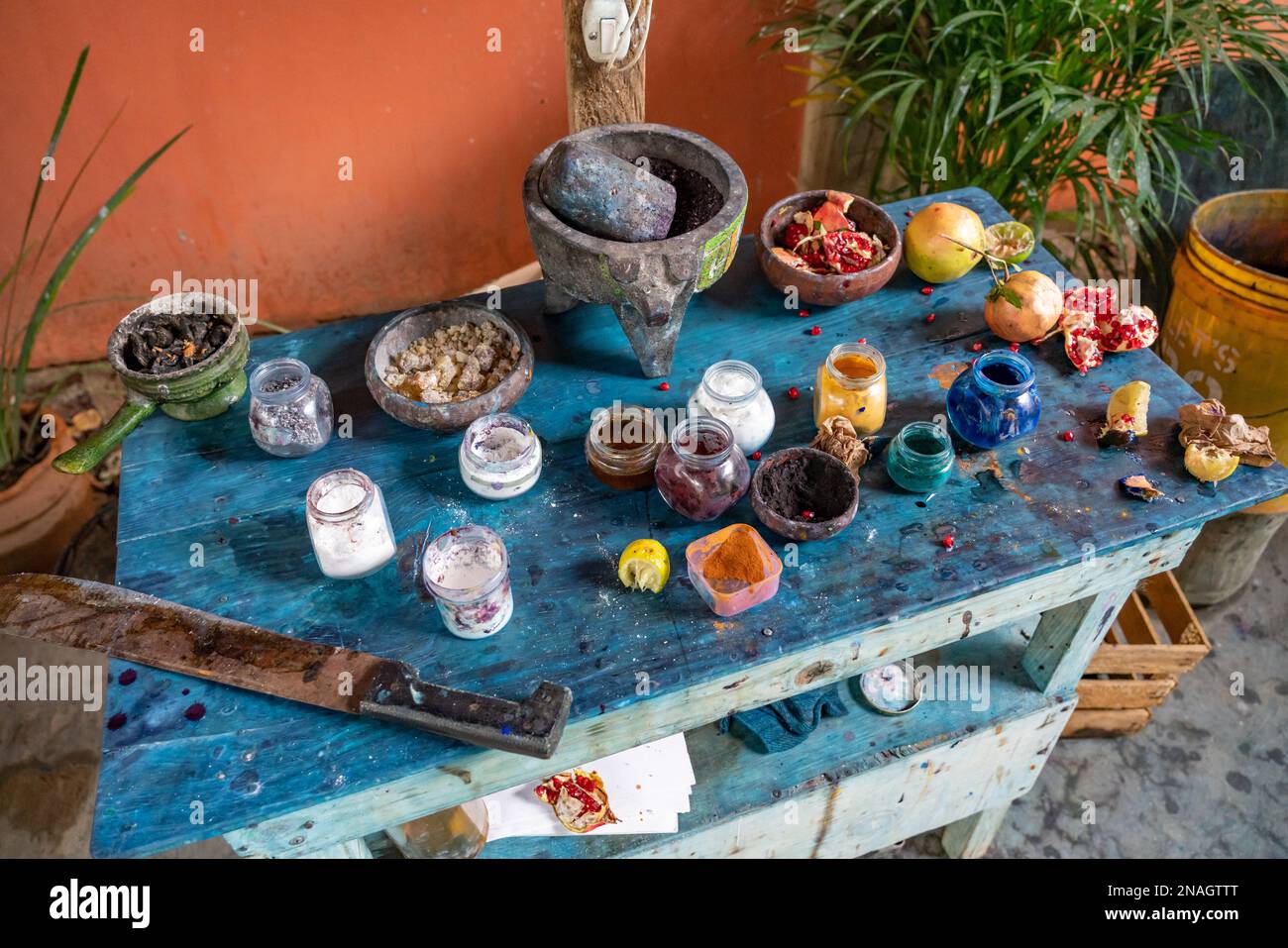 Démonstration montrant la source des pigments naturels pour peindre alebrijes dans un atelier à San Martin Tilcajete, Oaxaca, Mexique. Banque D'Images
