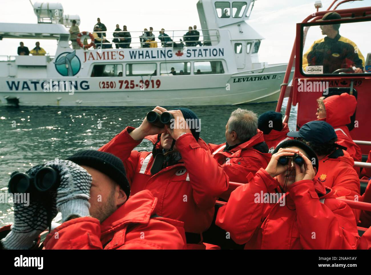 Les gens qui font un voyage d'observation des baleines et des oiseaux regardent le ciel avec des jumelles, Clayoquot Sound au large de l'île de Vancouver, Colombie-Britannique, Canada Banque D'Images