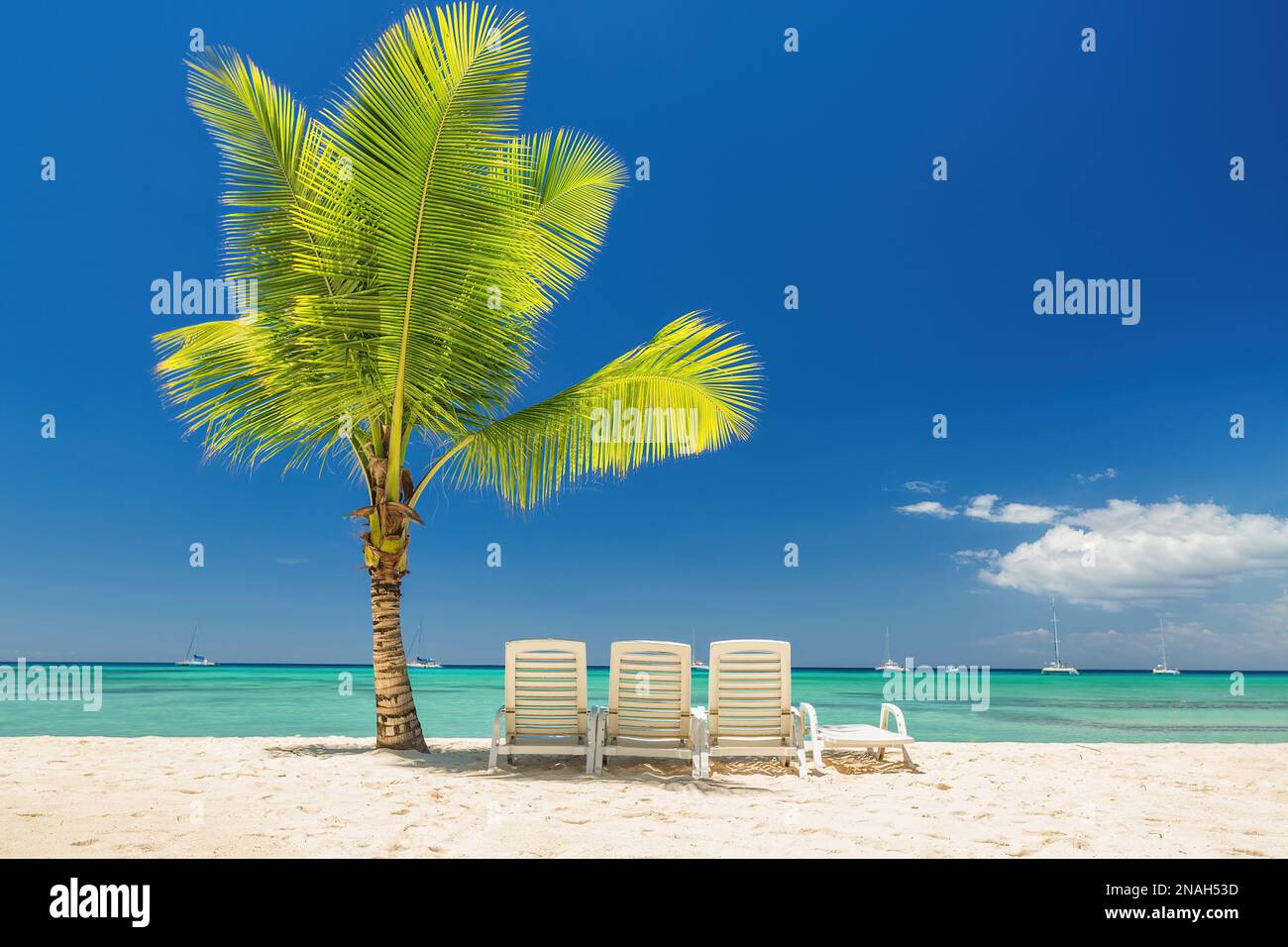 Palmier et plage tropicale à Punta Cana, République Dominicaine Banque D'Images
