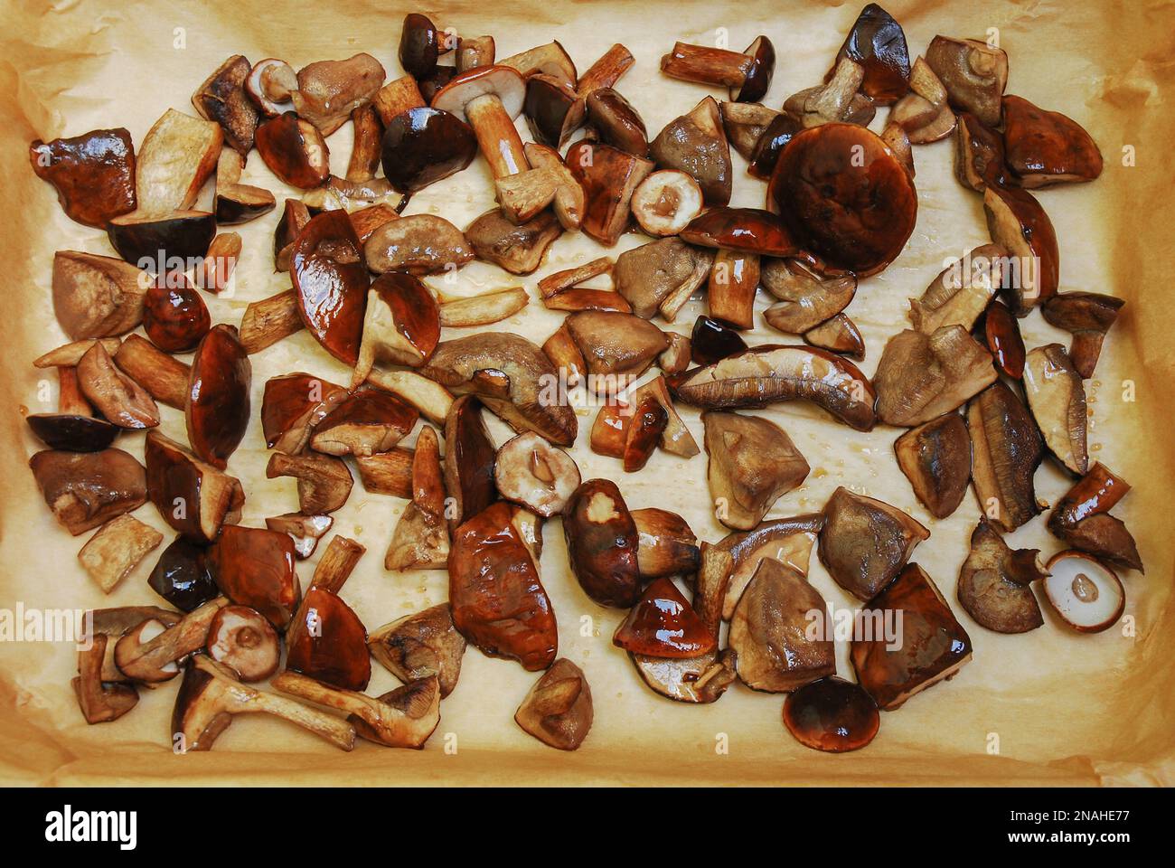 Le processus de séchage des champignons sauvages au four, sur une plaque de  cuisson bordée de papier brun. Les champignons tranchés laissent le jus  s'écouler Photo Stock - Alamy