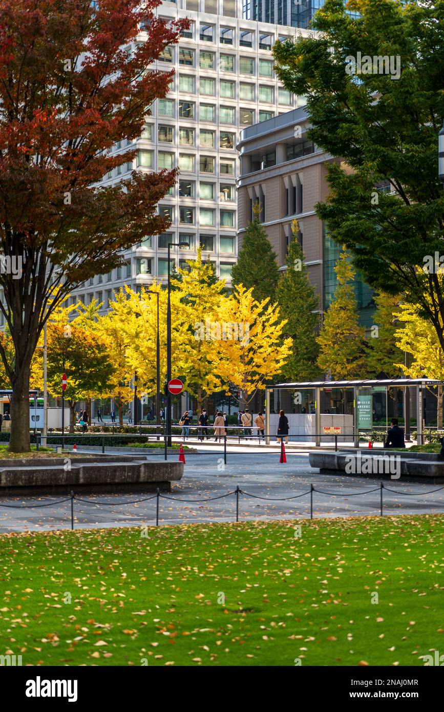 Marunouchi, gare de Tokyo, Tokyo. (Novembre 2022) Banque D'Images