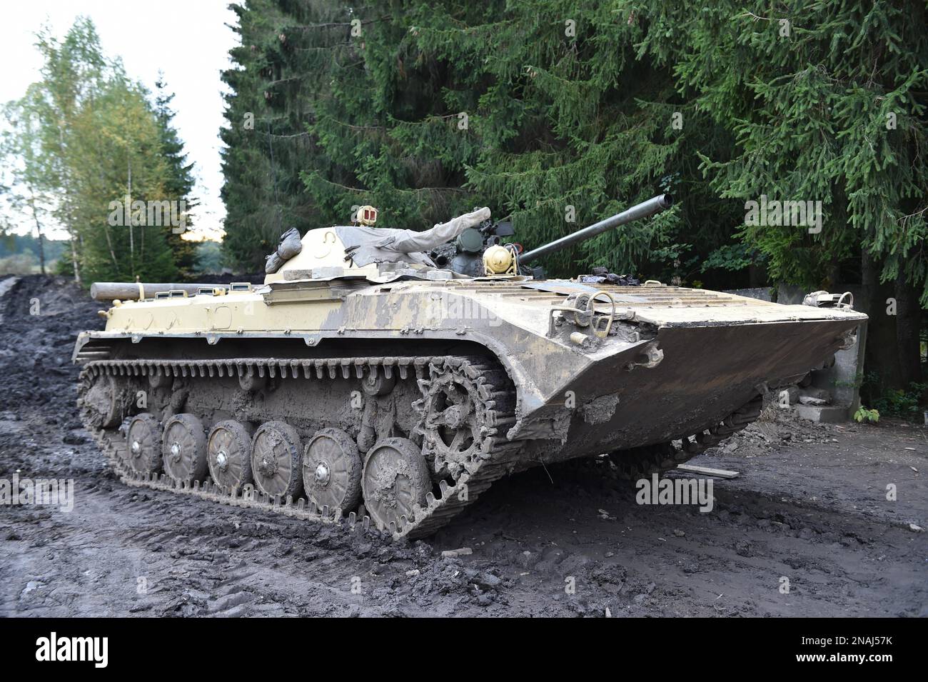 Le char russe BMP, BMP-1 sur le terrain lors d'une rencontre automobile classique à Benneckenstein, Saxe-Anhalt, Allemagne Banque D'Images