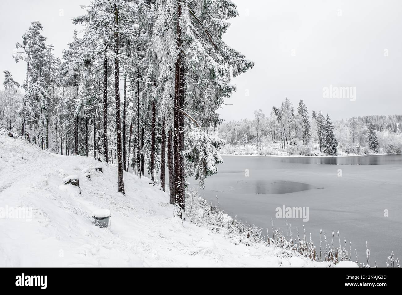 Étang de Pear Tree Harz en hiver Banque D'Images
