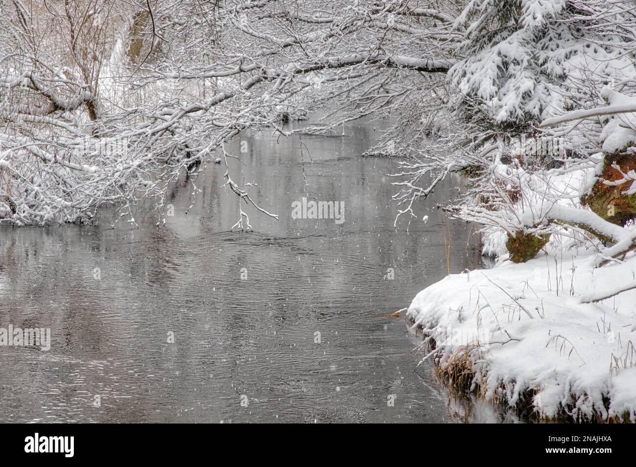 Paysage d'hiver Harz Selketal Selke en hiver Banque D'Images