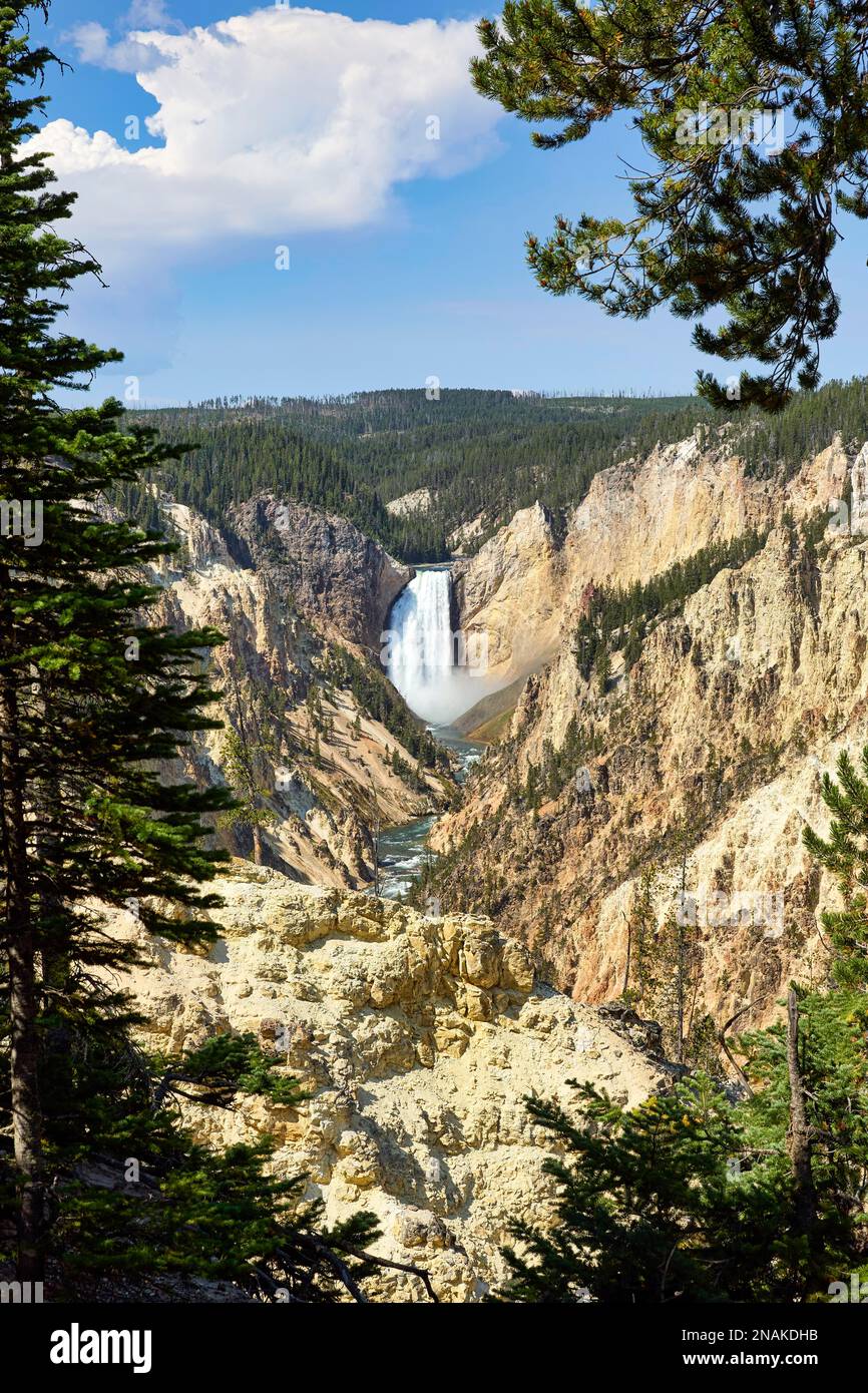 Le Grand Canyon Artist point dans le parc national de Yellowstone. Wyoming. ÉTATS-UNIS Banque D'Images