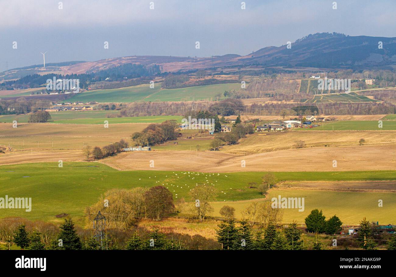 Dundee, Tayside, Écosse, Royaume-Uni. 13th févr. 2023. Météo au Royaume-Uni : avec des températures planant autour de 11 °C, le nord-est de l'Écosse connaît un climat semblable à celui du printemps. Dans la campagne de Dundee, une vue pittoresque sur un paysage de brume douce balaie la vallée de Strathmore, les collines de Sidlaw et la campagne environnante. Crédit : Dundee Photographics/Alamy Live News Banque D'Images