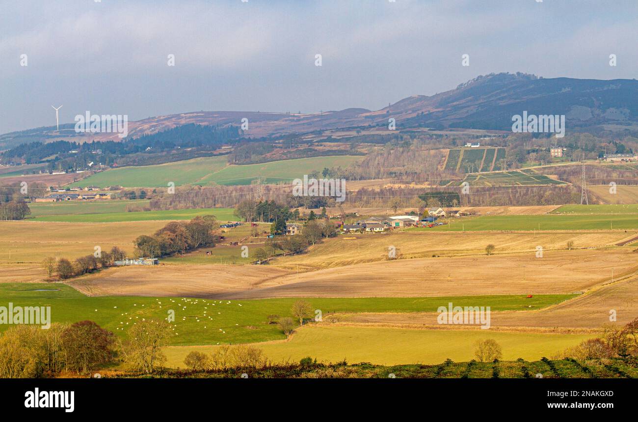 Dundee, Tayside, Écosse, Royaume-Uni. 13th févr. 2023. Météo au Royaume-Uni : avec des températures planant autour de 11 °C, le nord-est de l'Écosse connaît un climat semblable à celui du printemps. Dans la campagne de Dundee, une vue pittoresque sur un paysage de brume douce balaie la vallée de Strathmore, les collines de Sidlaw et la campagne environnante. Crédit : Dundee Photographics/Alamy Live News Banque D'Images